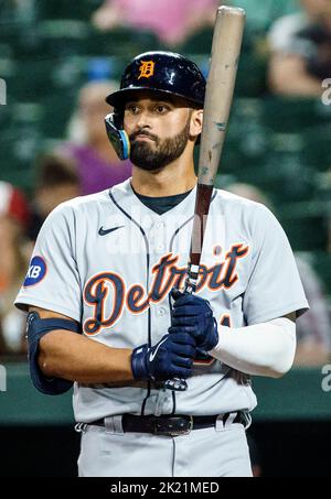 RILEY GREENE DIVING CATCH BOBBLEHEAD For $45 In Livonia, MI