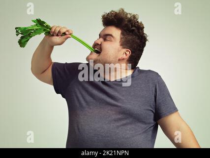 Is this how you eat it. an overweight man biting into a celery stick. Stock Photo