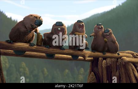 REILLY, BEAVERS, OPEN SEASON, 2006 Stock Photo