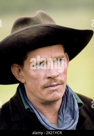 THOMAS HADEN CHURCH, BROKEN TRAIL, 2006 Stock Photo - Alamy