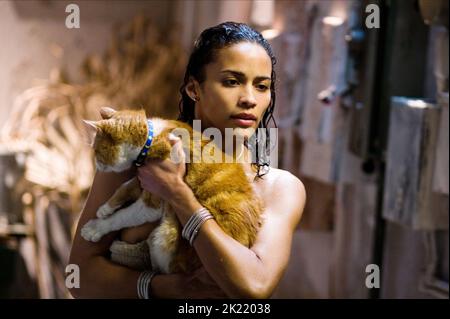 PAULA PATTON, DEJA VU, 2006 Stock Photo