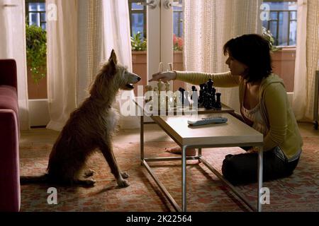 SANDRA BULLOCK, THE LAKE HOUSE, 2006 Stock Photo