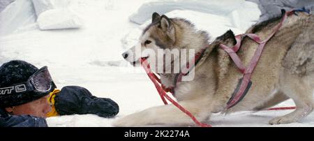 GREENWOOD,MAYA, EIGHT BELOW, 2006 Stock Photo