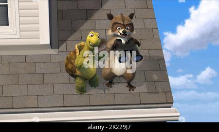 VERNE,RJ, OVER THE HEDGE, 2006 Stock Photo