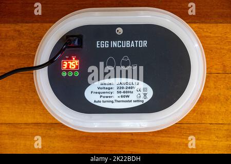 220-240 volt electric incubator with temperature control; and automated egg turning mechanism showing the ideal incubation temperature for chickens of 37.5 degrees Stock Photo