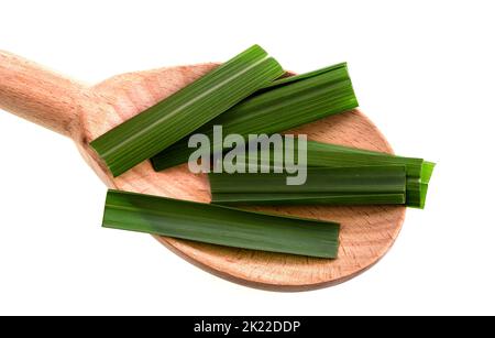 Lemongrass is one of various species of grass, the Cymbopogon citratus, which have a lemon-like taste and aroma, and is used in cooking, for tea, and Stock Photo