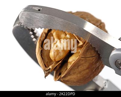 close up view of a metal nutcracker crushing a nut on white background Stock Photo