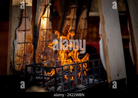 A closeup shot of salmon grilling over a campfire Stock Photo