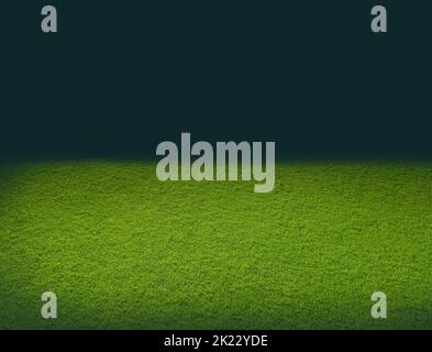 Green grass field isolated on white background, for montage product display. with clipping path Stock Photo