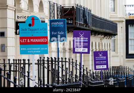 Selection of Estate Agent and Letting Agent boards including Mishon Mackay ,  Simply Lettings in Brighton , Sussex , England UK Stock Photo