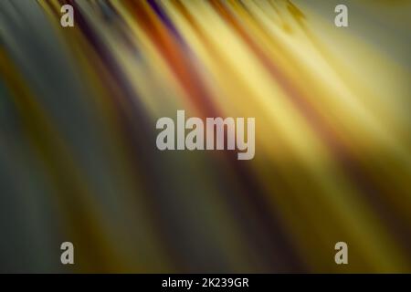 Selective focus multicolor abstract сloseup surface of soap bubble Stock Photo