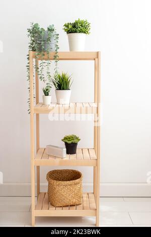 Various artificial succulents plants stand in white ceramic pots on a wooden shelf against a white wall. Stock Photo