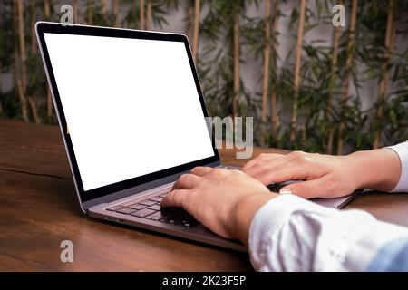 Laptop mock up, woman sitting on wooden table and using modern laptop. Caucasian office worker typing on white blank screen computer keyboard. Stock Photo