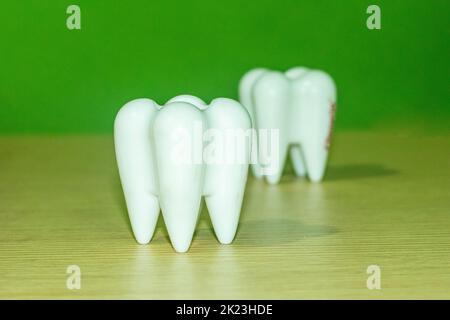 In the dental clinic and dental treatment for restoring teeth, there are two big teeth white on the dentist's tables. Always keep clean teeth dental h Stock Photo