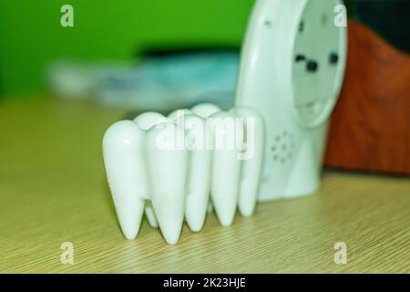Two big demo white human teeth, a table watch, sunglasses, and a pen holder on a dentist's table. The dental office and dental treatment for restoring Stock Photo