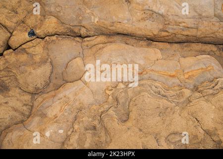 Point Lobos orange yellow soft rock stone texture with cracks. Natural shapes and nature geometry Stock Photo