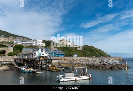 Ventnor on the Isle of Wight in England, showing the fishery and buildings along the hill overlooking the harbour. Stock Photo