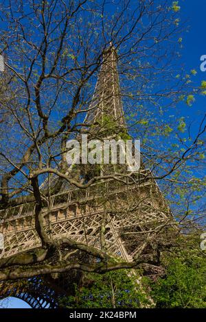 A picture of the Eiffel Tower as seen through a nearby tree (Paris). Stock Photo