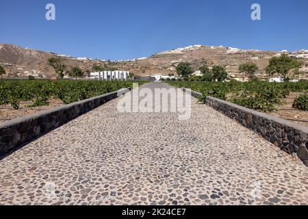 Santorini, Greece - July 2, 2021: Estate Argyros has been established in 1903,  It is the largest private owner of vineyards in Santorini and the curr Stock Photo