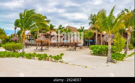 Sandy muddy road walking path and landscape view with tropical nature on beautiful Holbox island in Quintana Roo Mexico. Stock Photo