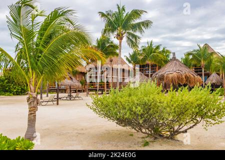 Sandy muddy road walking path and landscape view with tropical nature on beautiful Holbox island in Quintana Roo Mexico. Stock Photo