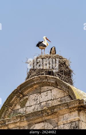 Storks on the Church of Santa Maria in Maderuelo in the Segovia province Castile Leon Spain Stock Photo