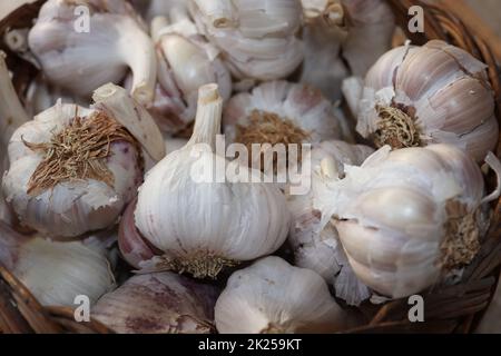 A closer look at an basket full of garlic Stock Photo