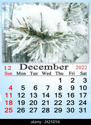calendar for December 2022 with picture of with pine branch covered with snow Stock Photo