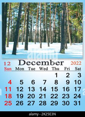 calendar for December 2022 with picture of with tree branch covered with frost Stock Photo