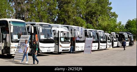 Ephesus, Turkey - May 2022: Row of tourist buses lined up in the car park of the site of the ancient ruins of the city of Ephesus Stock Photo