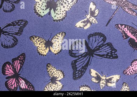 decorative butterfly wall paint, textured stucco wall background Stock Photo