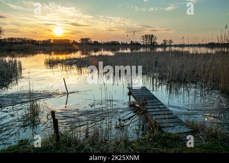 A small footbridge on the shore of a lake with reeds Stock Photo