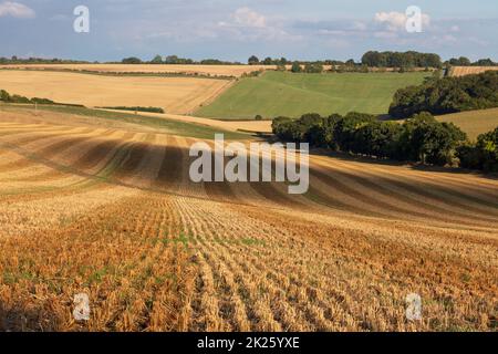 Lines in a stubble field with agricultural landscape behind in late afternoon sunlight, East Garston, Berkshire, England, United Kingdom Stock Photo