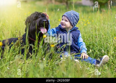 Cute little boy is sitting in the grass together with a Big Black Schnauzer Dog. Stock Photo