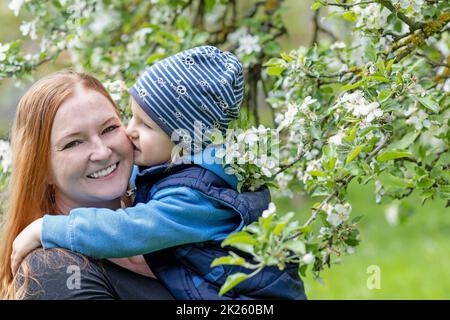 Cute young boy is kissing her young  laughing mother. Stock Photo