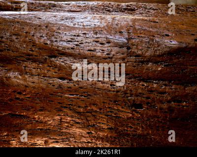 Brown wood texture. Abstract background, empty template Stock Photo