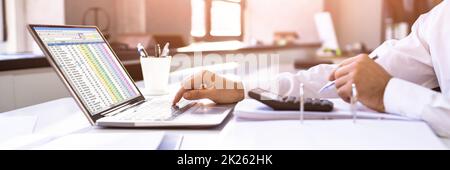 Electronic Spreadsheet Analyst Or Auditor Using Software Stock Photo