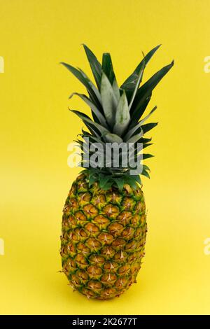 Whole Ripe Pineapple Upright on a Yellow Background Close-up Stock Photo