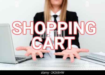 Conceptual display Shopping Cart. Conceptual photo Case Trolley Carrying Groceries and Merchandise Instructor Teaching Different Skills, Teacher Explaining New Methods Stock Photo