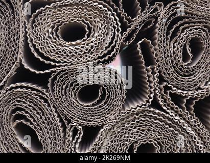 Corrugated cardboard rolled Stock Photo