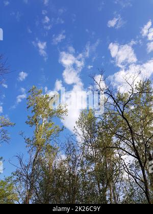 Low angle shot of the breathtaking clouds captured in the colorful sky ...