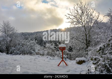 A bird house in front of a forest, at sunrise in winter with lots of snow Stock Photo