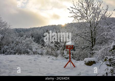 A orange bird house in front of a forest, at sunrise in winter with lots of snow Stock Photo