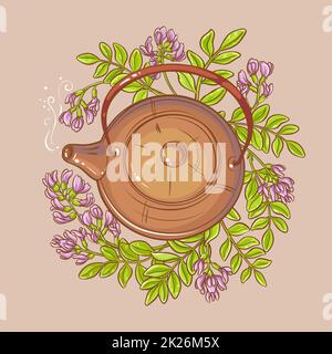 astragalus tea illustration Stock Photo