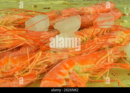 Frozen shrimps on a wooden white background with lemon seasonings and crushed ice. Close-up of frozen prawns. Stock Photo