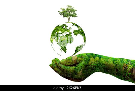 environment Earth Day In the hands of trees growing seedlings. Bokeh green Background Female hand holding tree on nature field grass Forest conservation concept Stock Photo