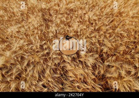 A vintage bamboo straw hat rests over a field of golden barley that is ready to be harvested as a straw hat left by tourists. A brown vintage wide-bri Stock Photo