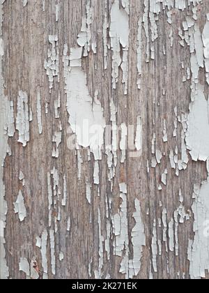 Old grunge dark textured wooden background Stock Photo