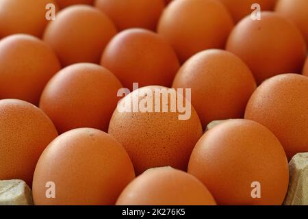 Close up brown chicken eggs in tray carton Stock Photo