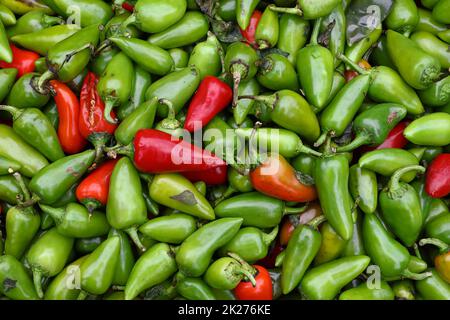 Green hot jalapeno chili peppers Stock Photo